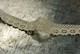 Ecru cotton lace - 2.5 cm